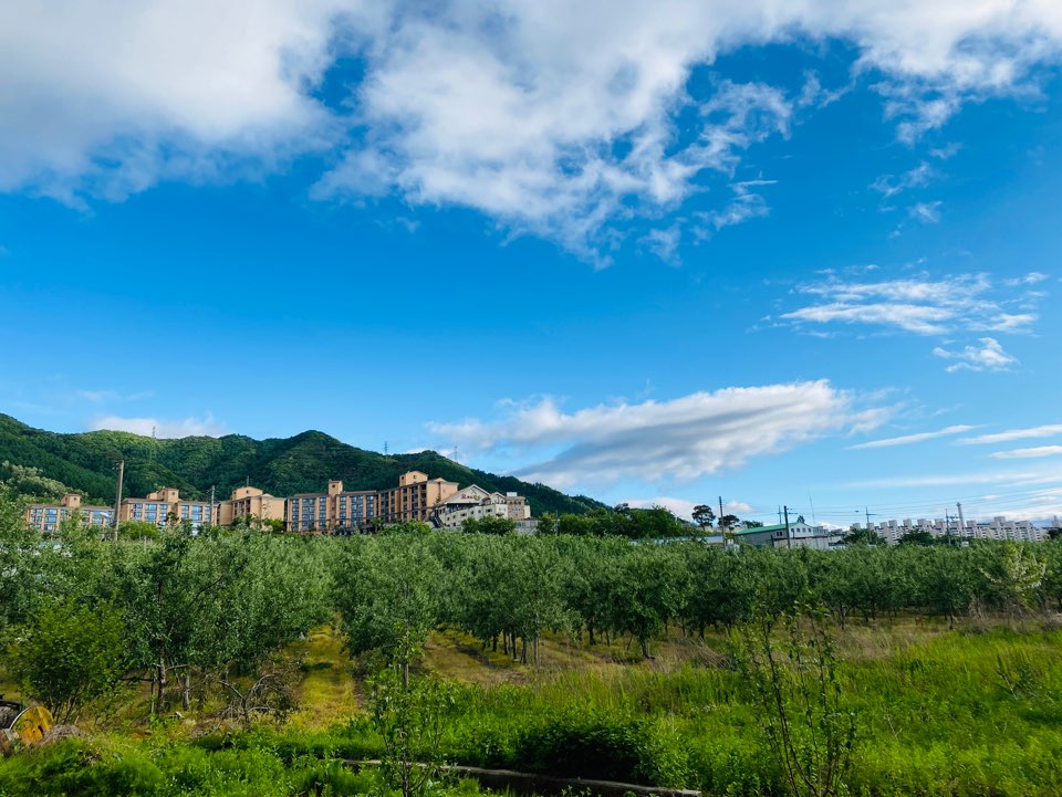 안림요양원 이미지 6