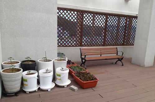 소담한방요양원 이미지 5