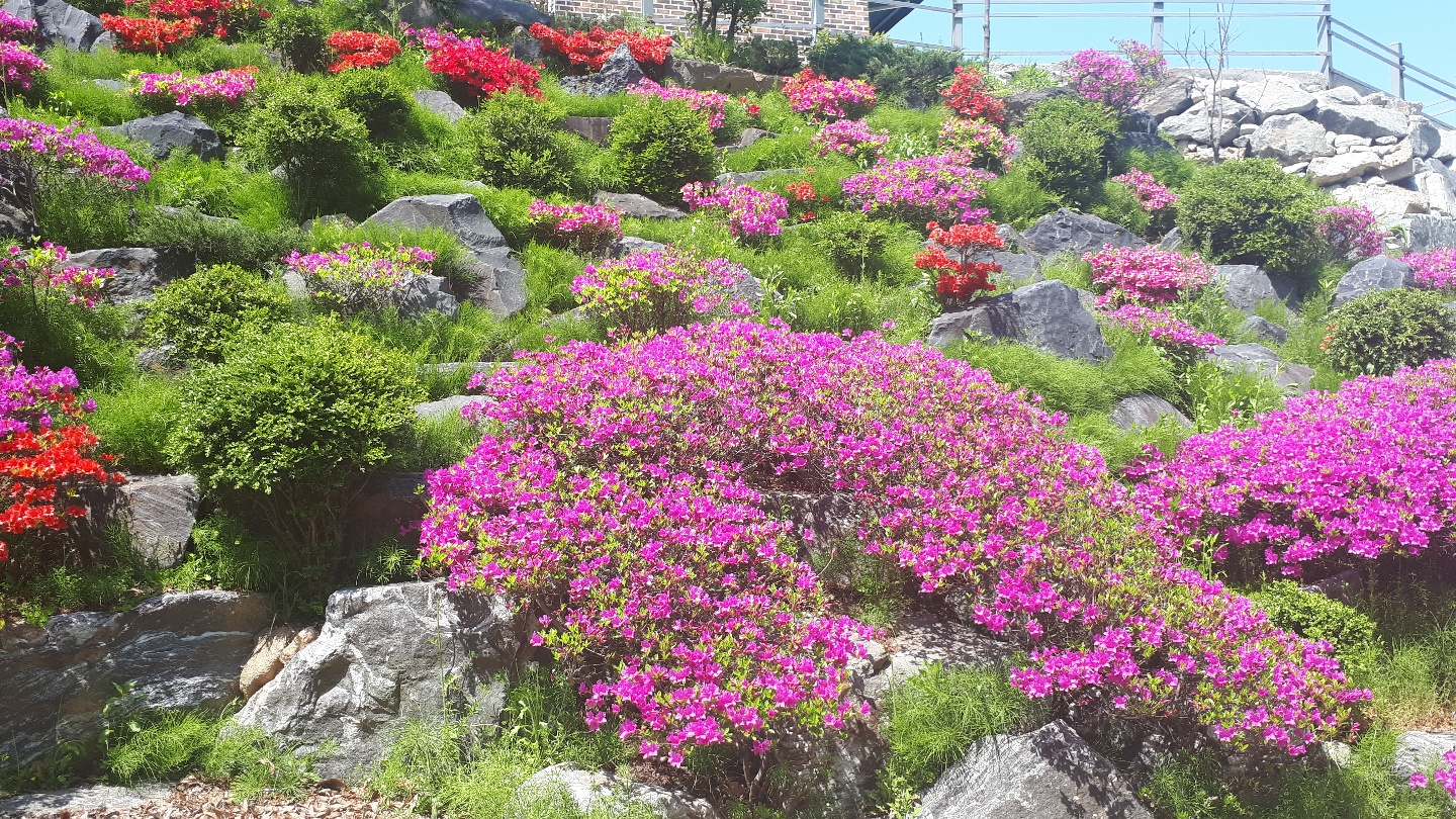 희락원 이미지 6