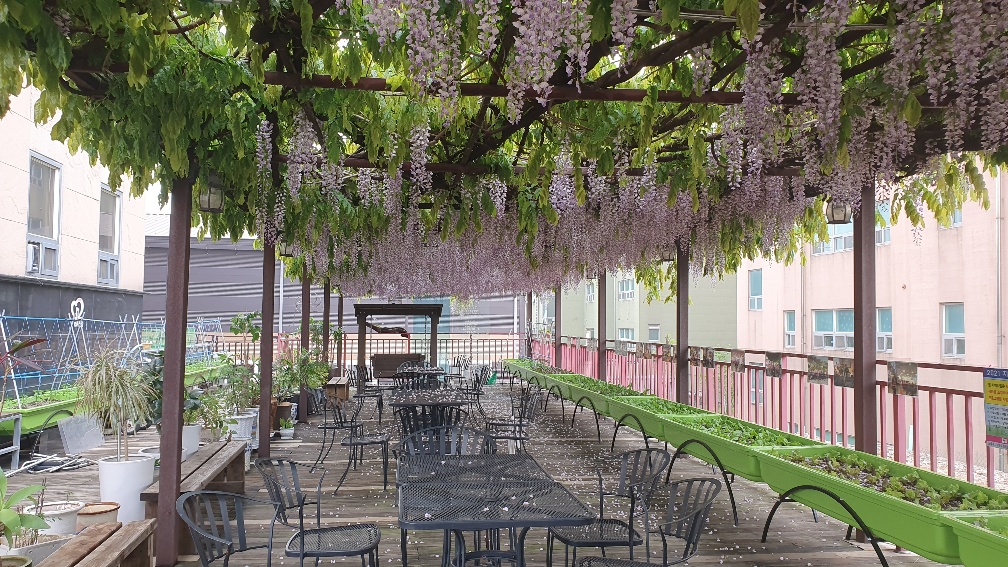 지극정성요양원 이미지 2