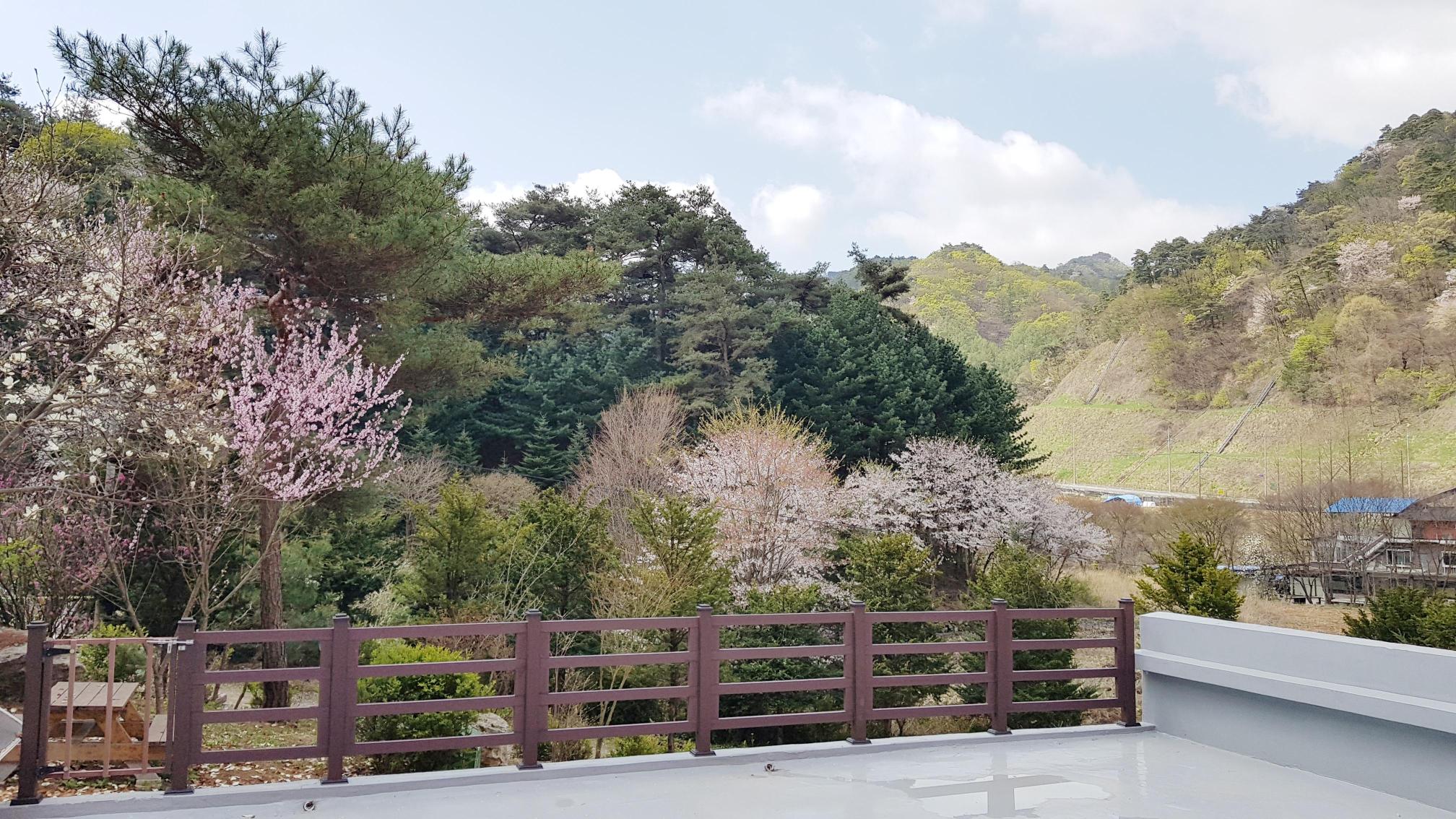 성심요양원 이미지 4