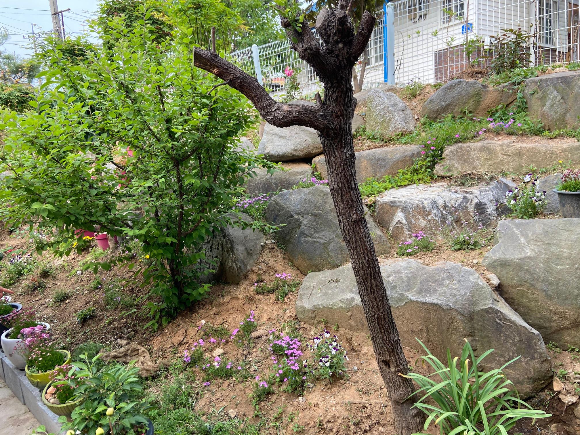 북천안요양원 이미지 15