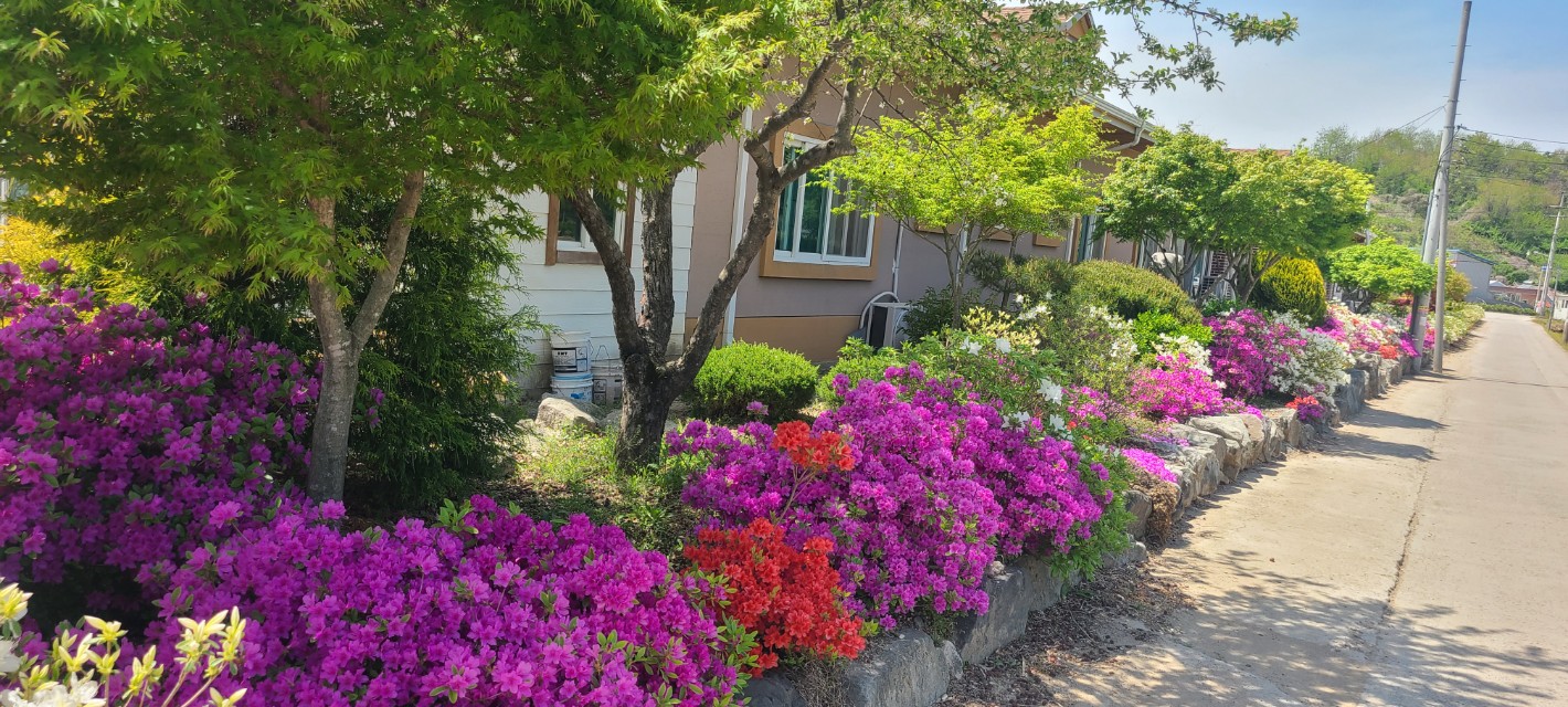 사랑의집 이미지 2