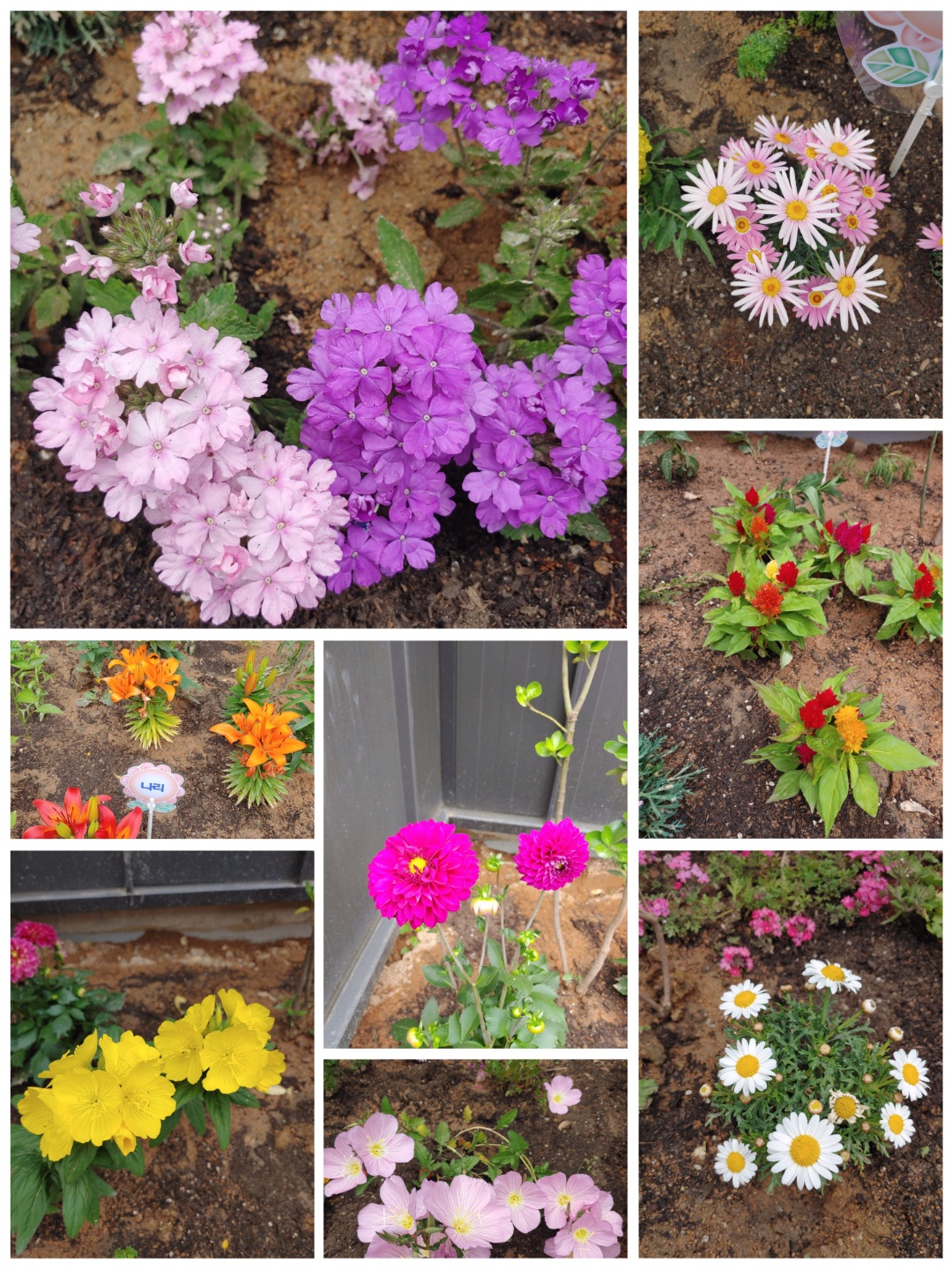 인성요양원 이미지 13