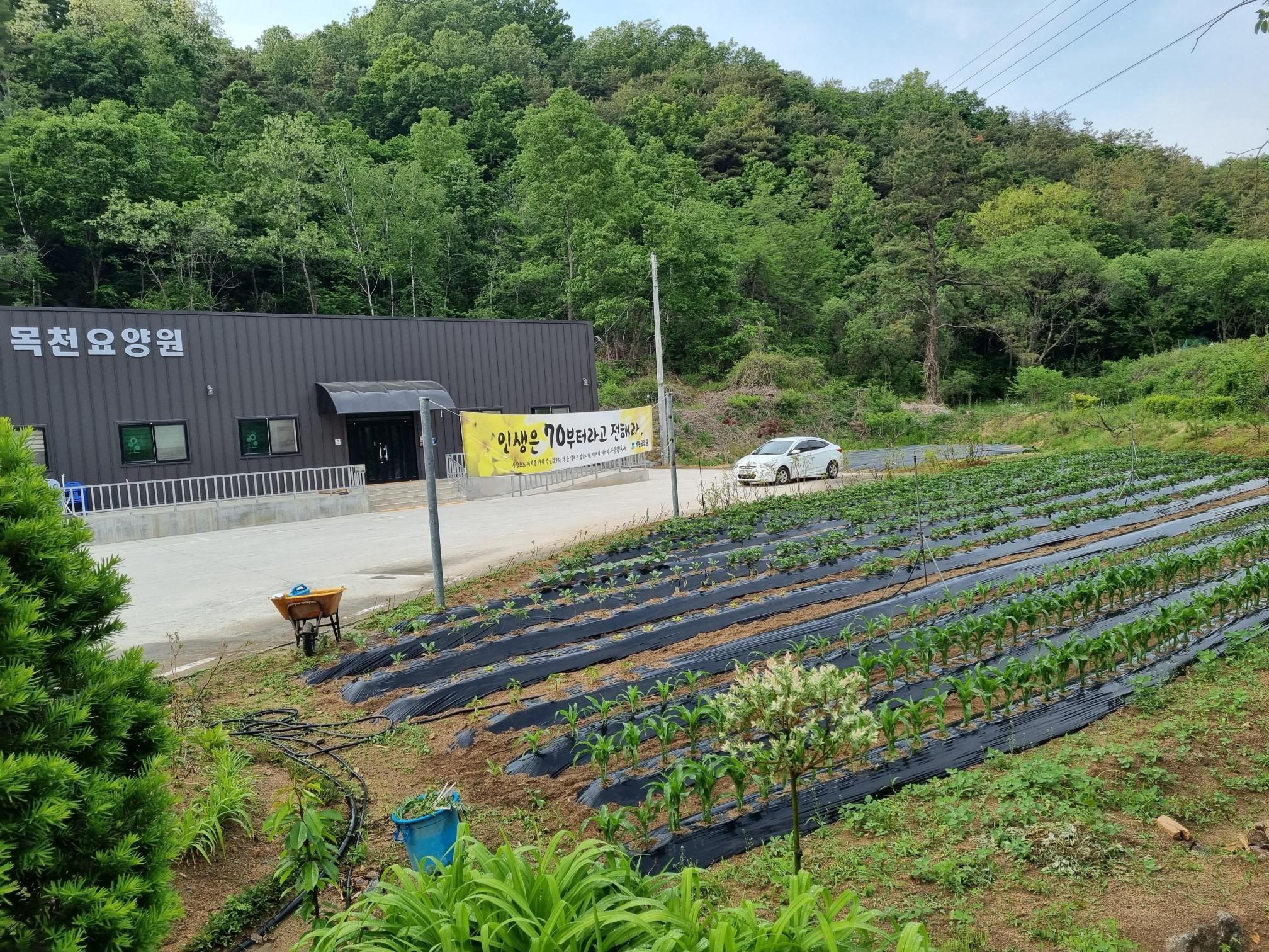 목천요양원 이미지 25