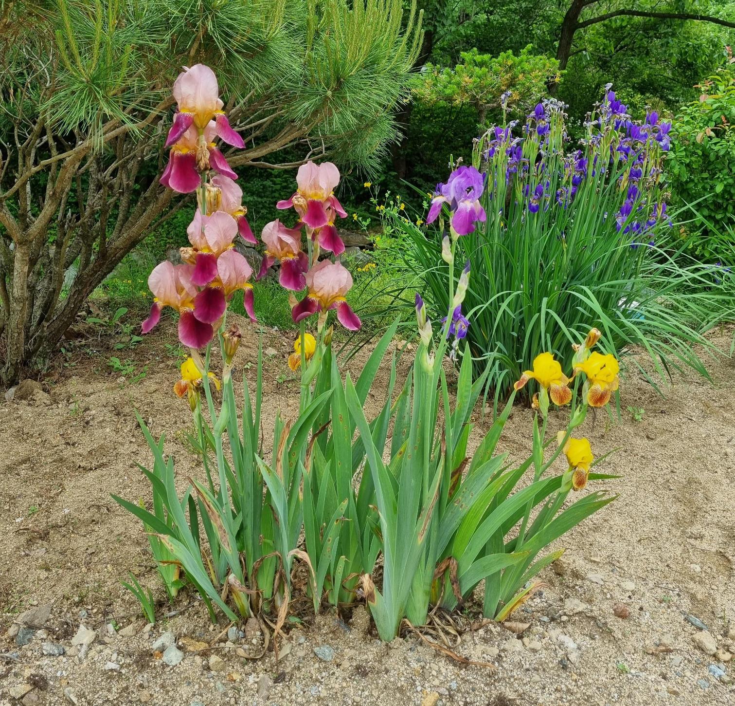 목천요양원 이미지 24