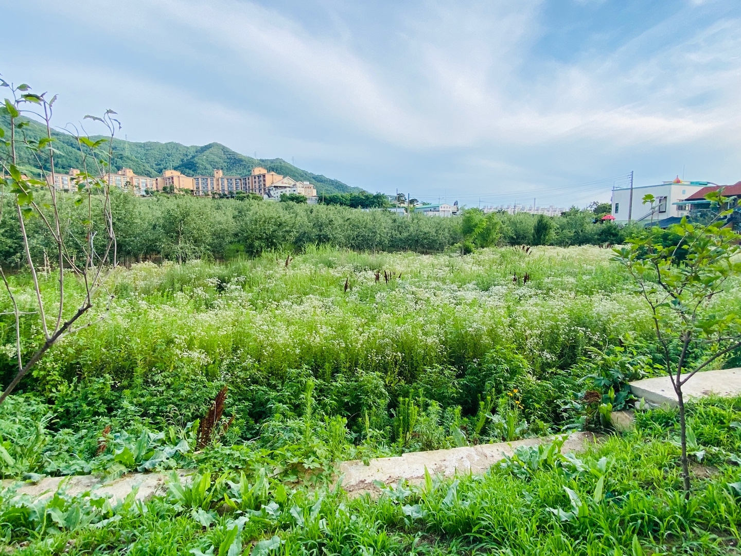 안림요양원 이미지 8