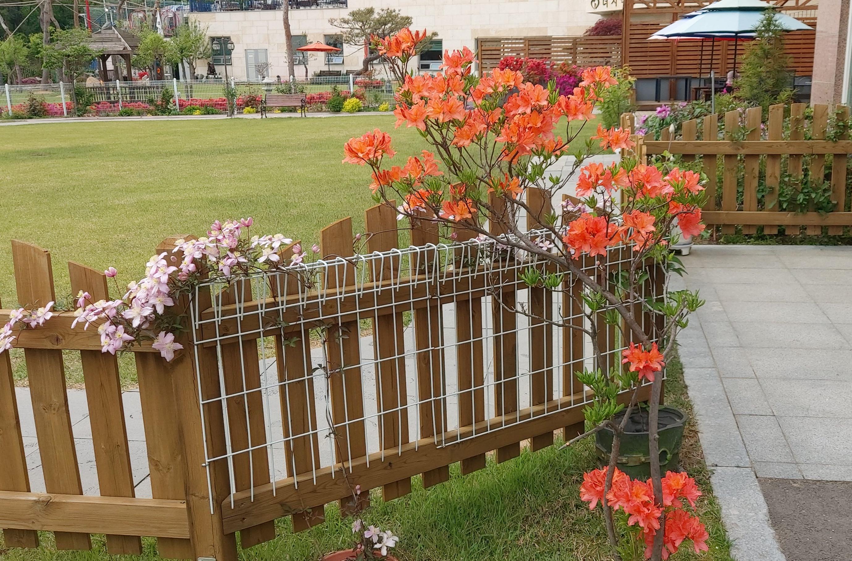 드림요양원 이미지 3