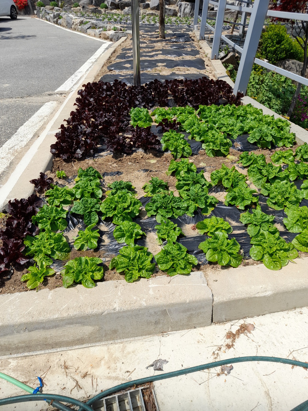 희락원 이미지 7