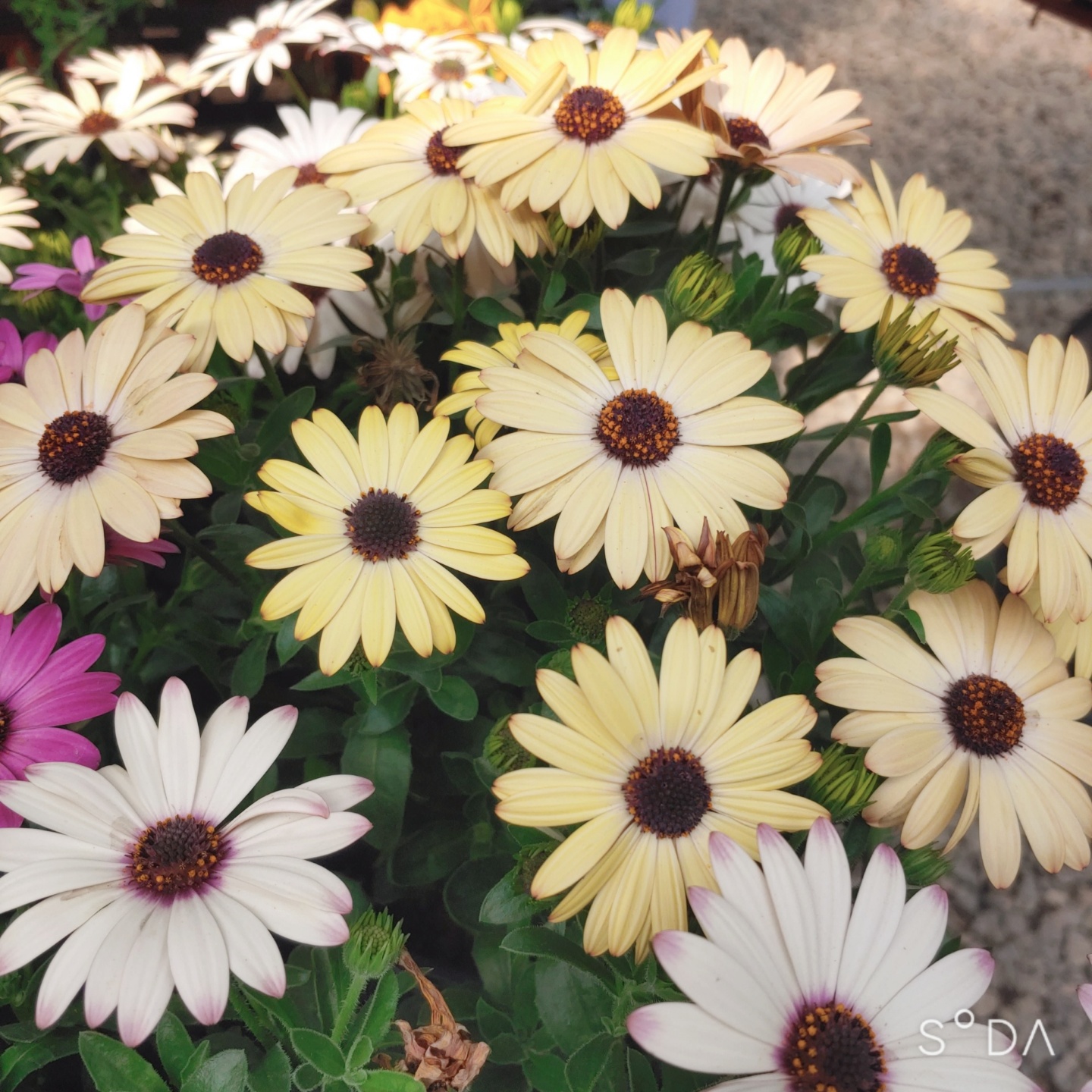 월롱패밀리 요양원 이미지 7