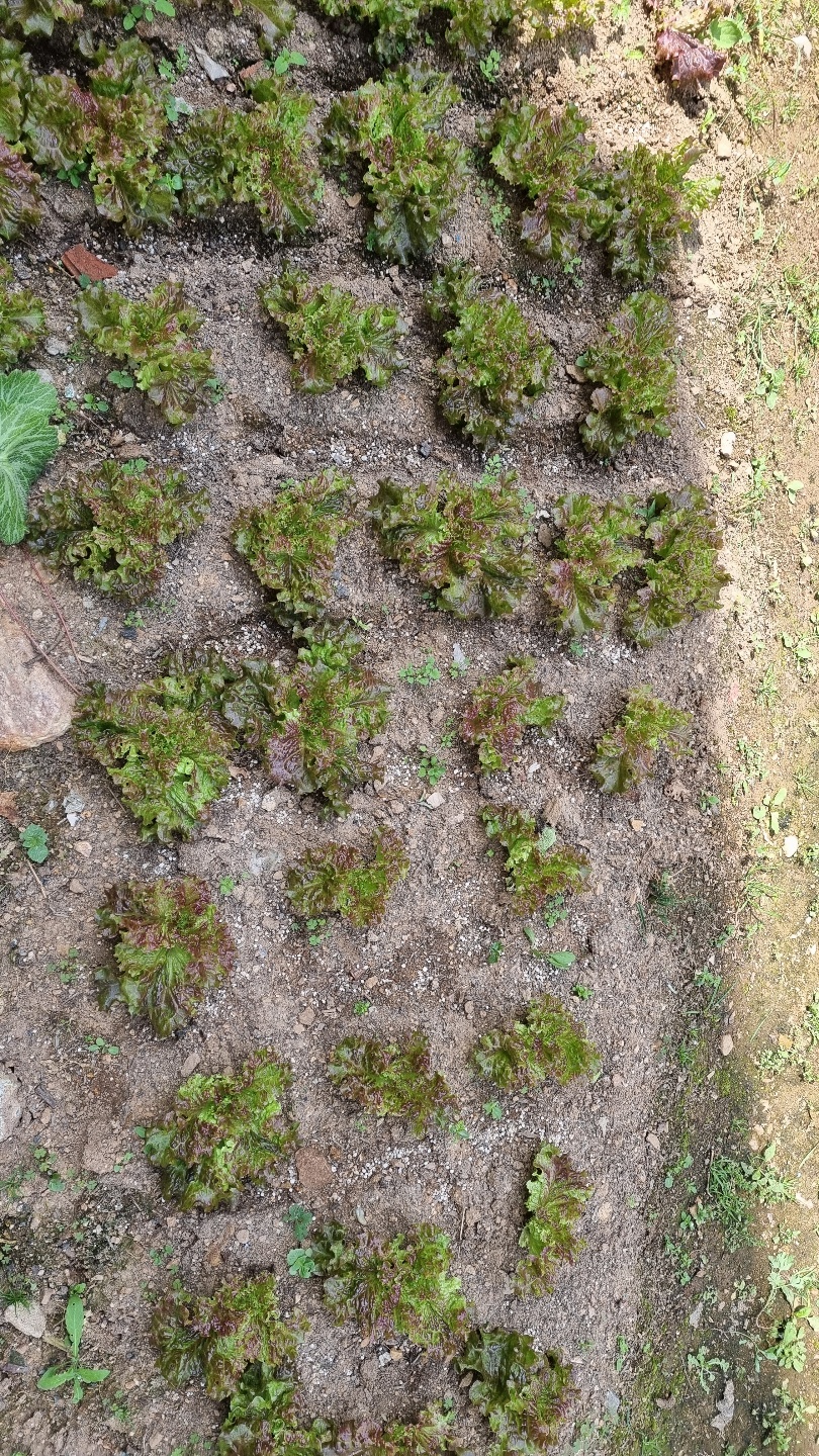 꽃마루요양원 이미지 18