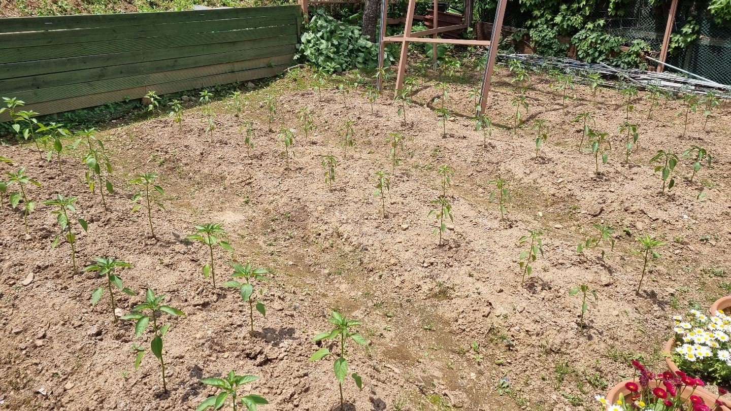 꽃마루요양원 이미지 17