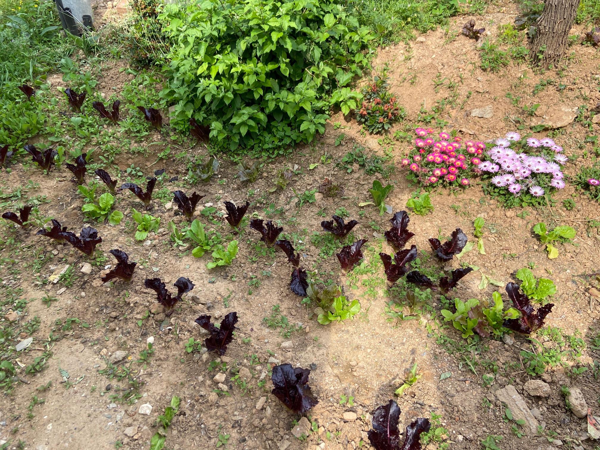 북천안요양원 이미지 14