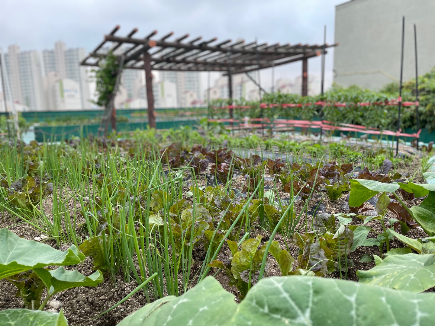 동백요양원 이미지 2