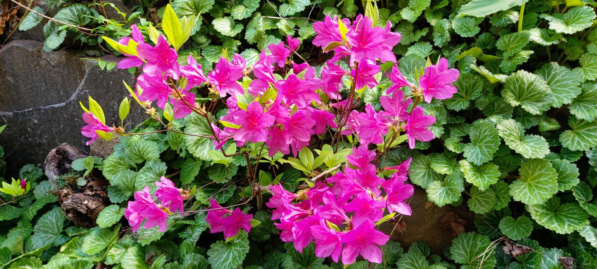 이화엔젤스요양원 이미지 21