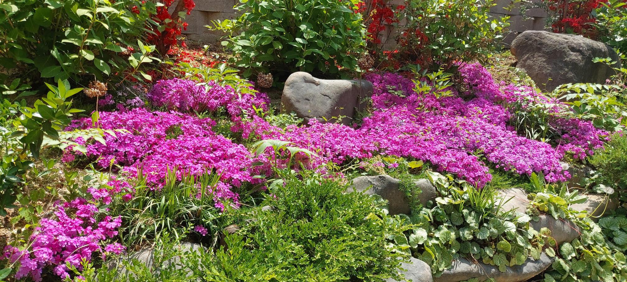 이화엔젤스요양원 이미지 19