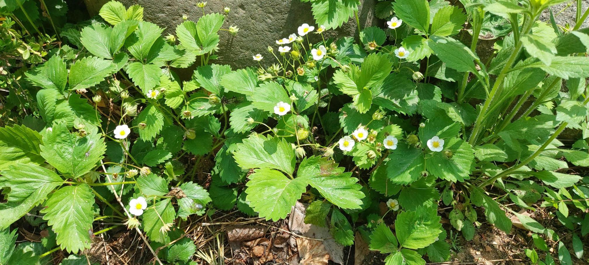 이화엔젤스요양원 이미지 20