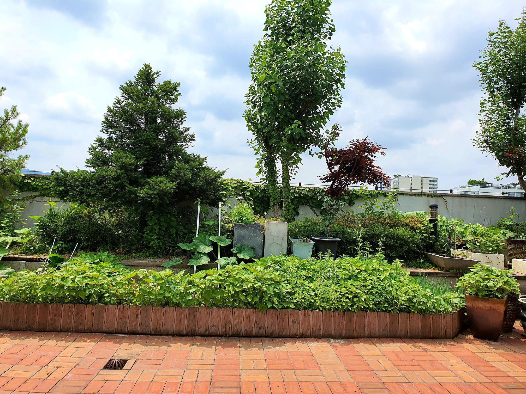 스카이빌요양원 이미지 2