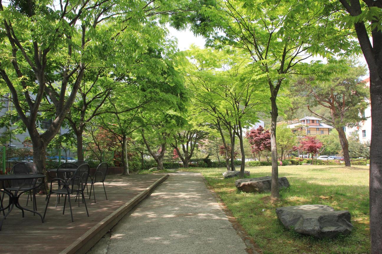 선우치매센타 이미지 2