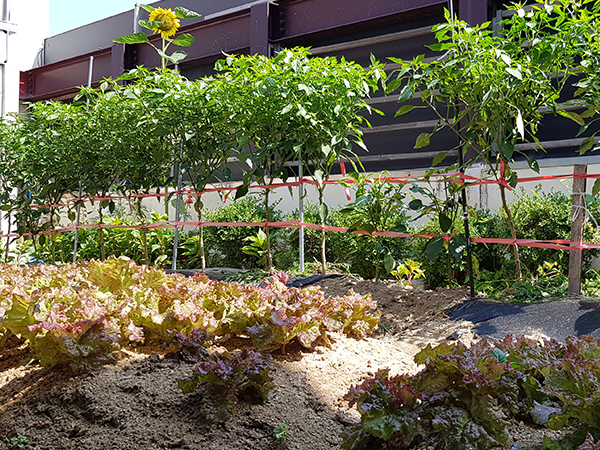 남대전요양원 이미지 4