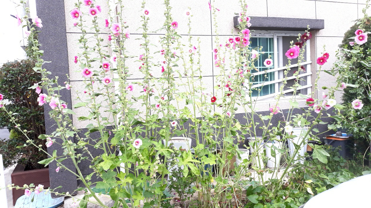 사랑노인요양공동생활가정 이미지 2