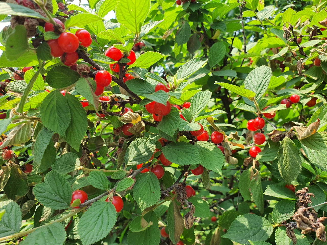 아름다운세상만들기요양원 이미지 3