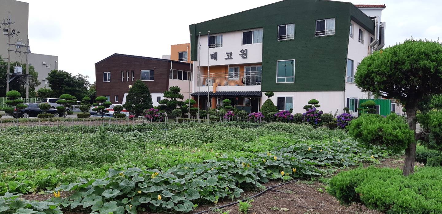 제주태고원 이미지 3