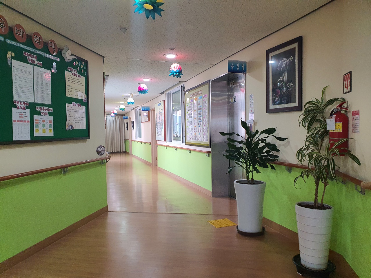 제주태고원 이미지 26