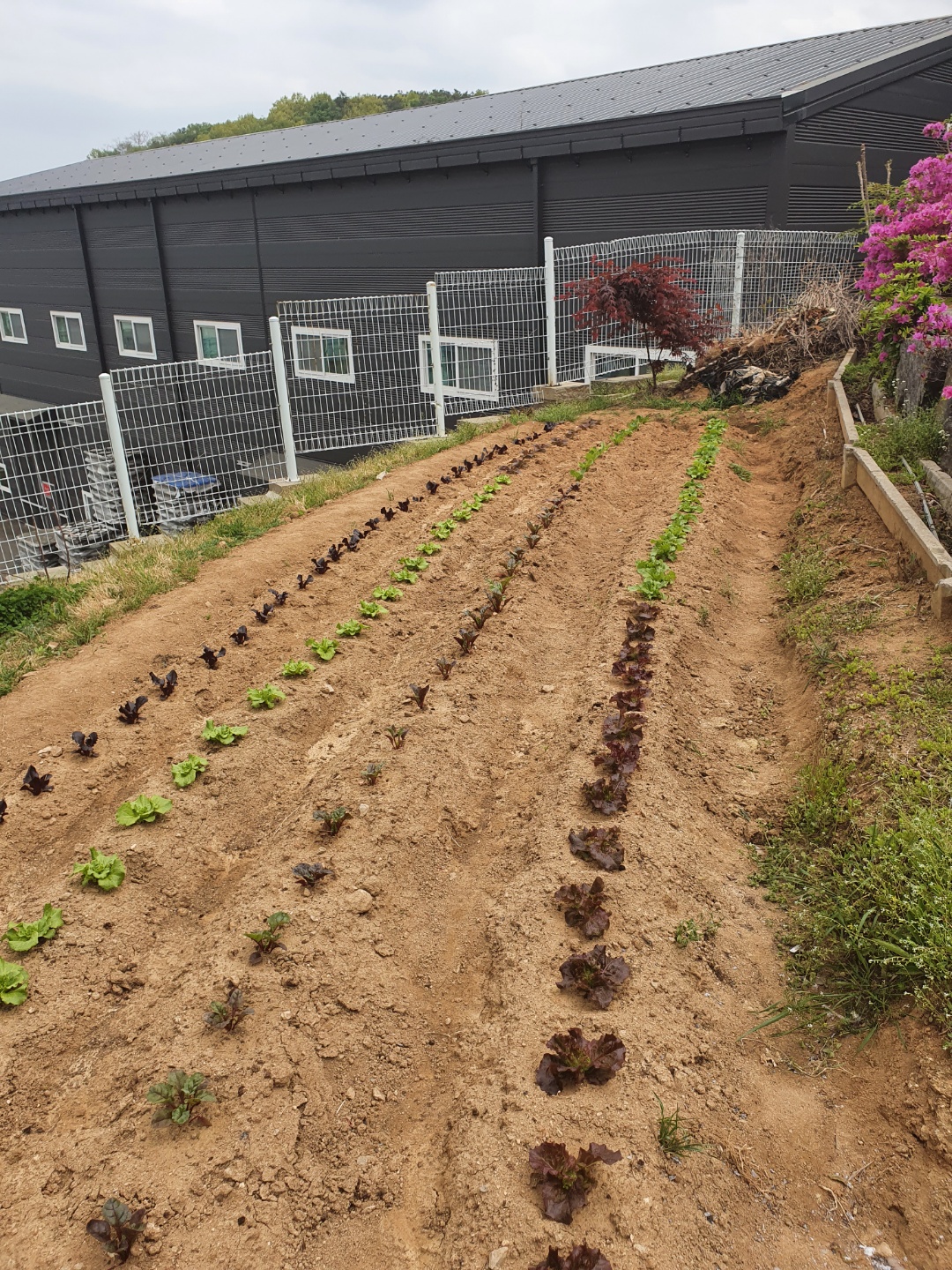 일산 수 요양원 이미지 27