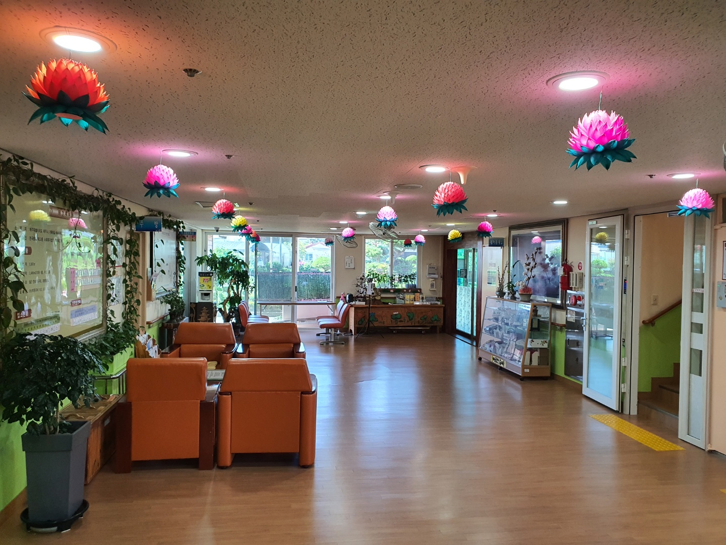 제주태고원 이미지 27