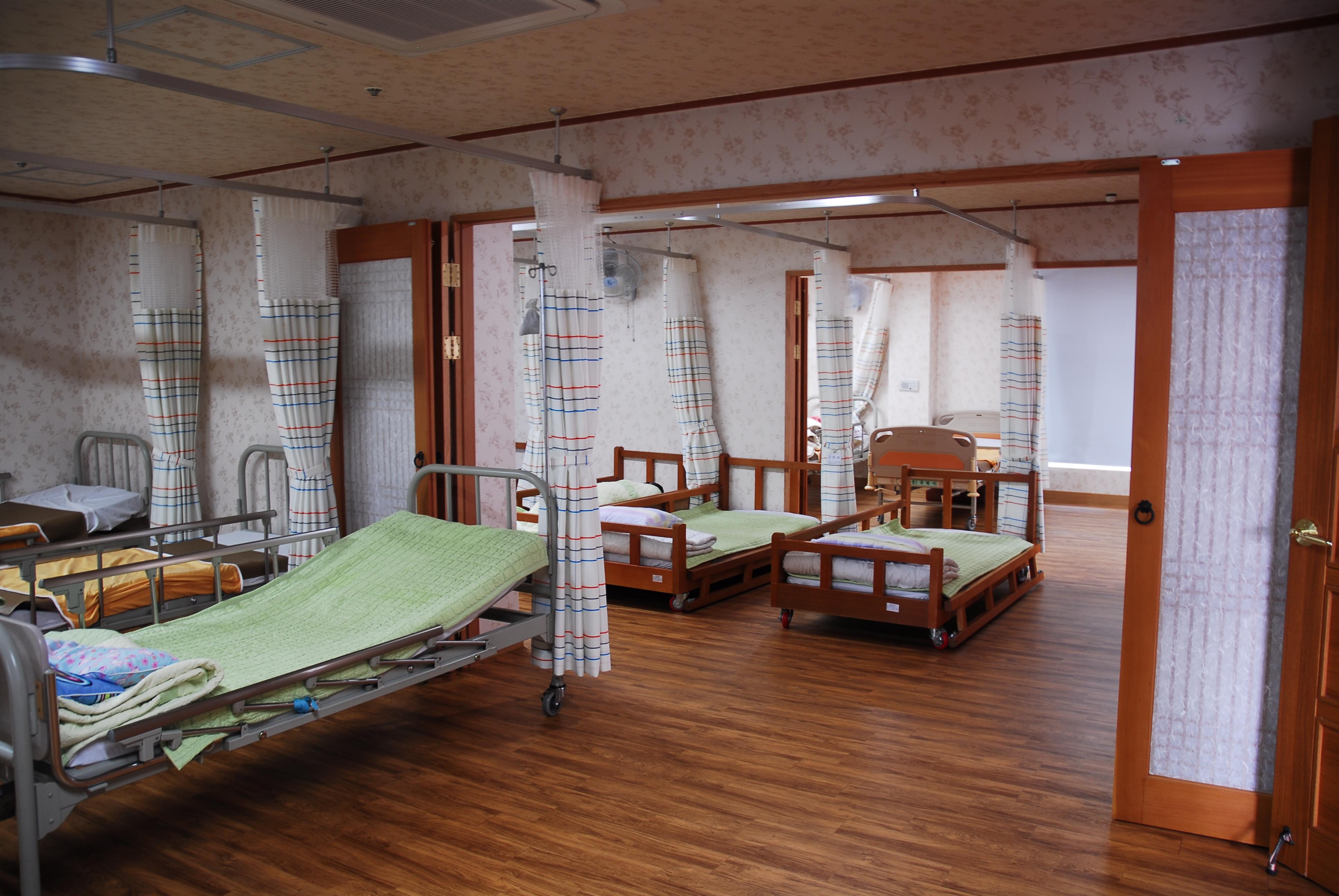 제주태고원 이미지 32