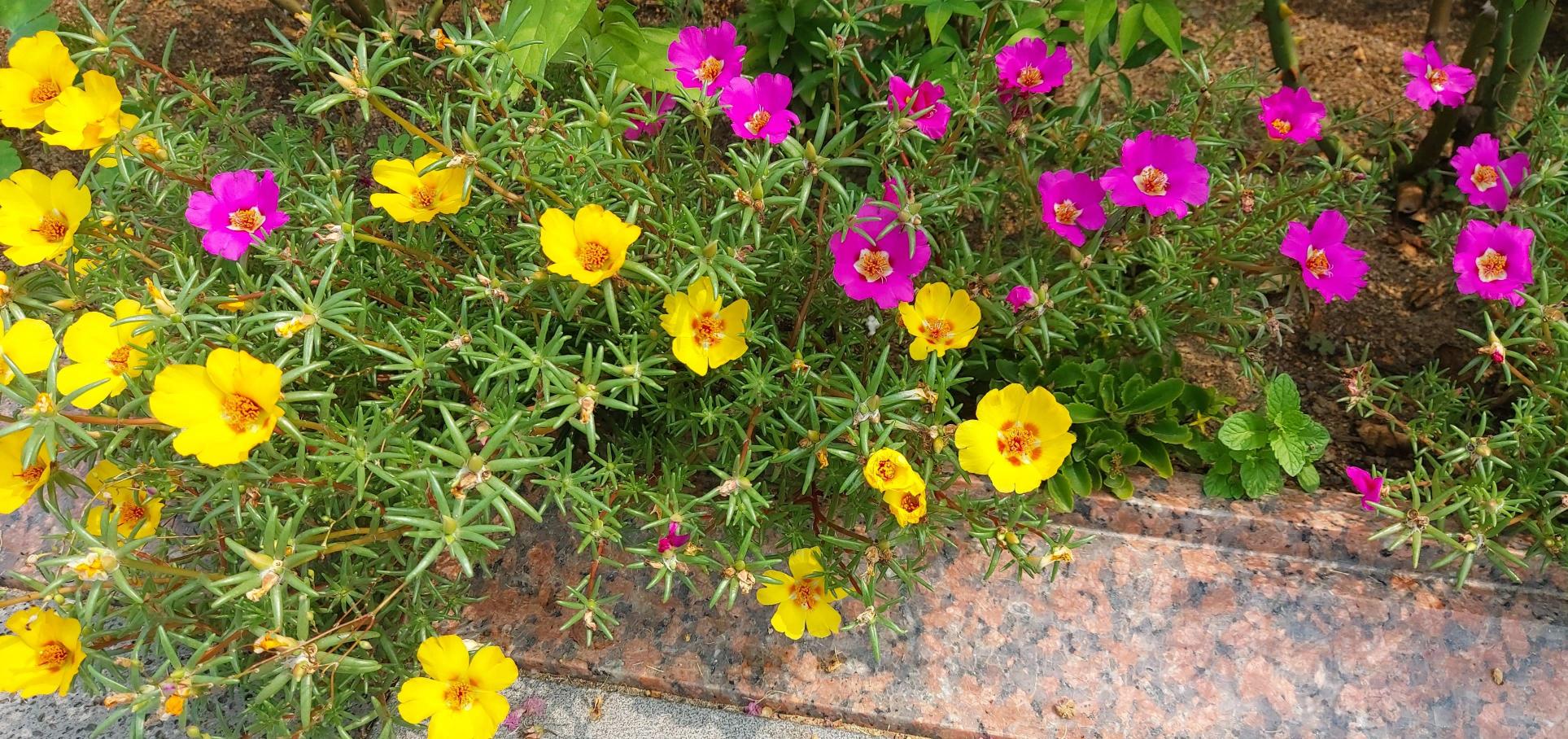 드림요양원 이미지 2