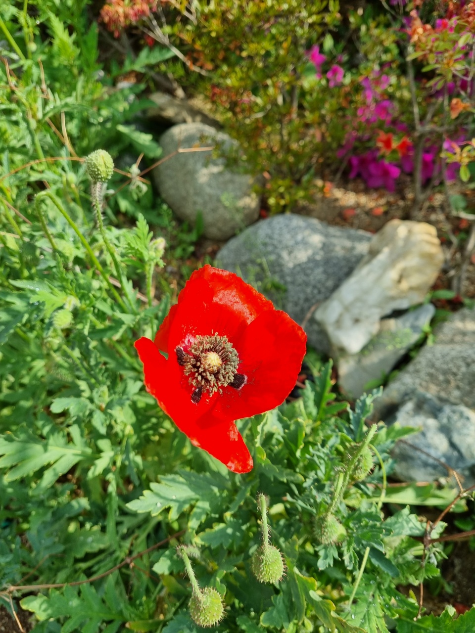 송녹골요양홈2관 이미지 2