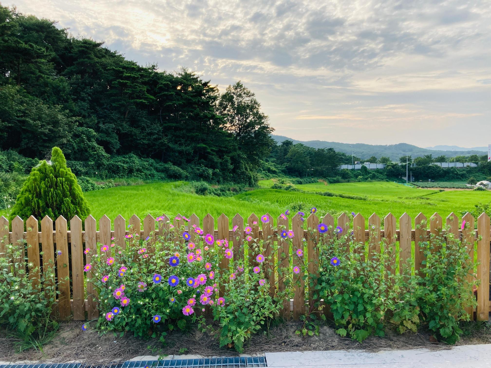 삼마요양원 이미지 4