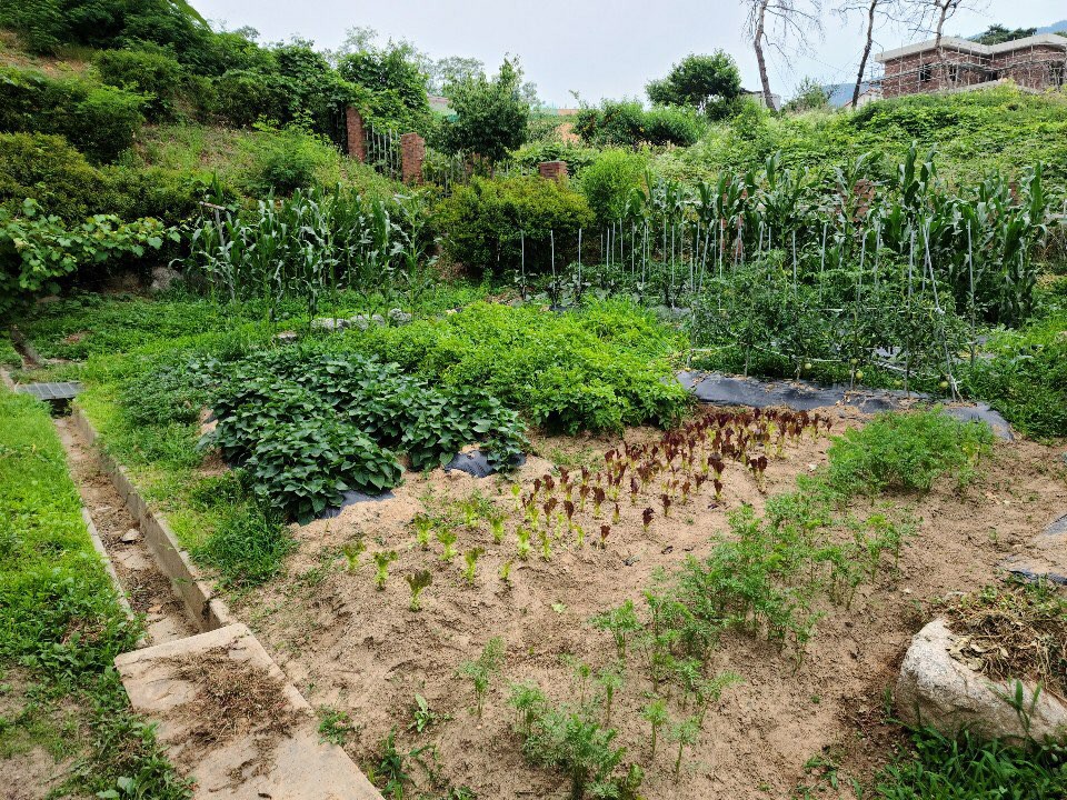 성골롬반의집 이미지 10