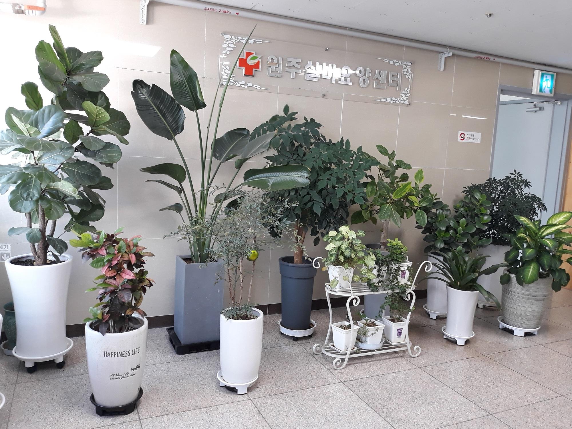 원주실버요양센터 이미지 3