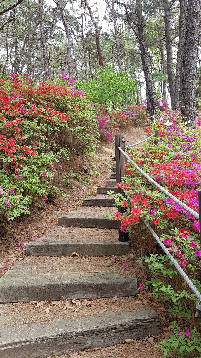 장미노인요양원 이미지 4