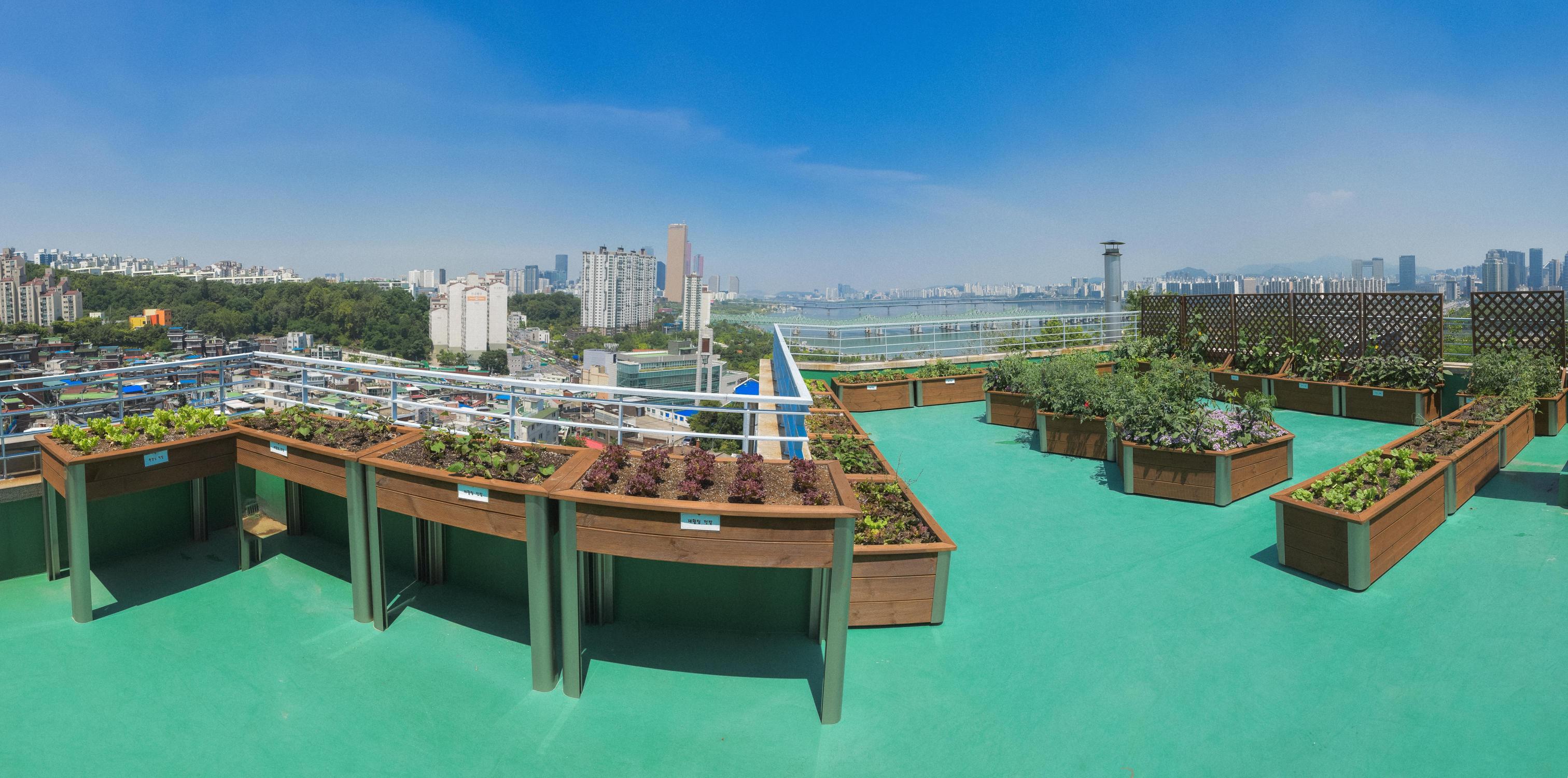 동작실버센터 이미지 4