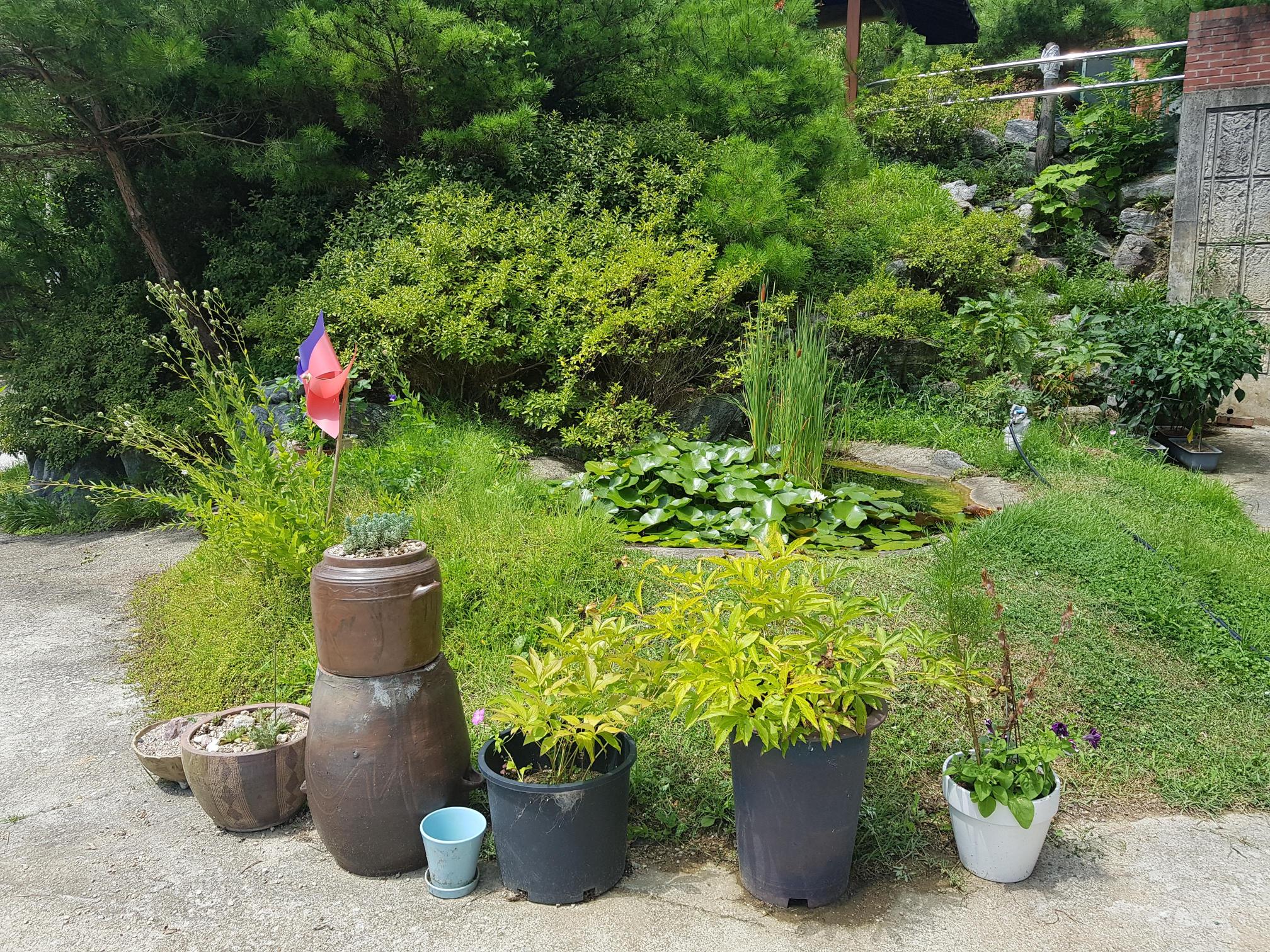 사회복지법인 보은 인우원