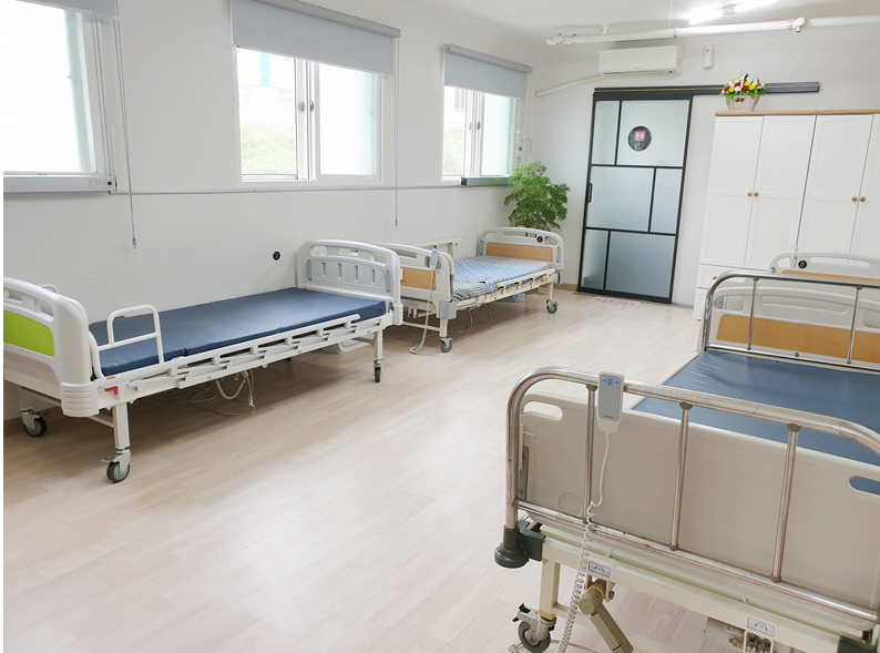 하얀민들레 이미지 3