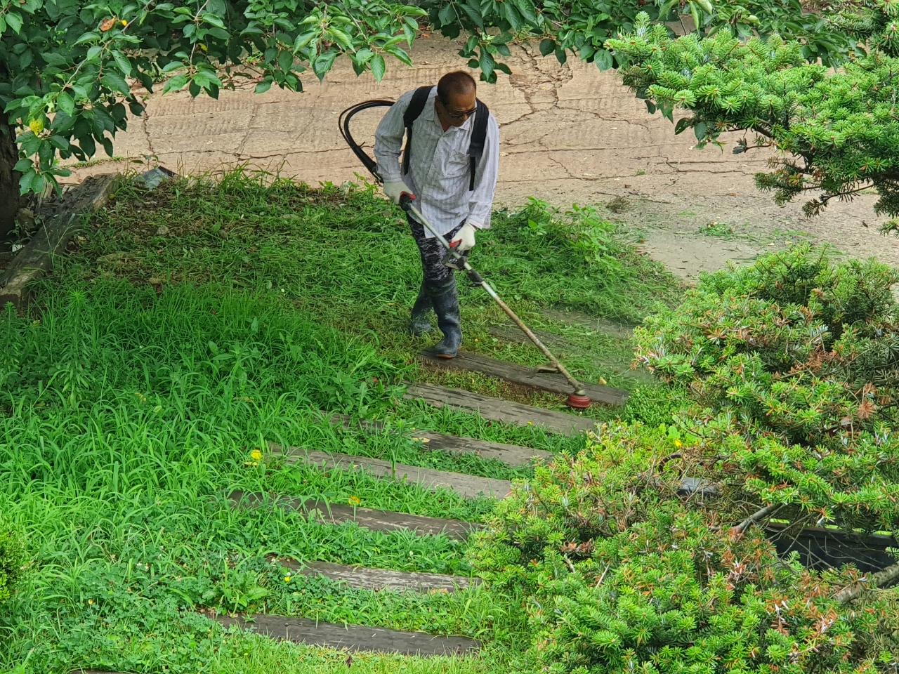실버프리 강화 이미지 5