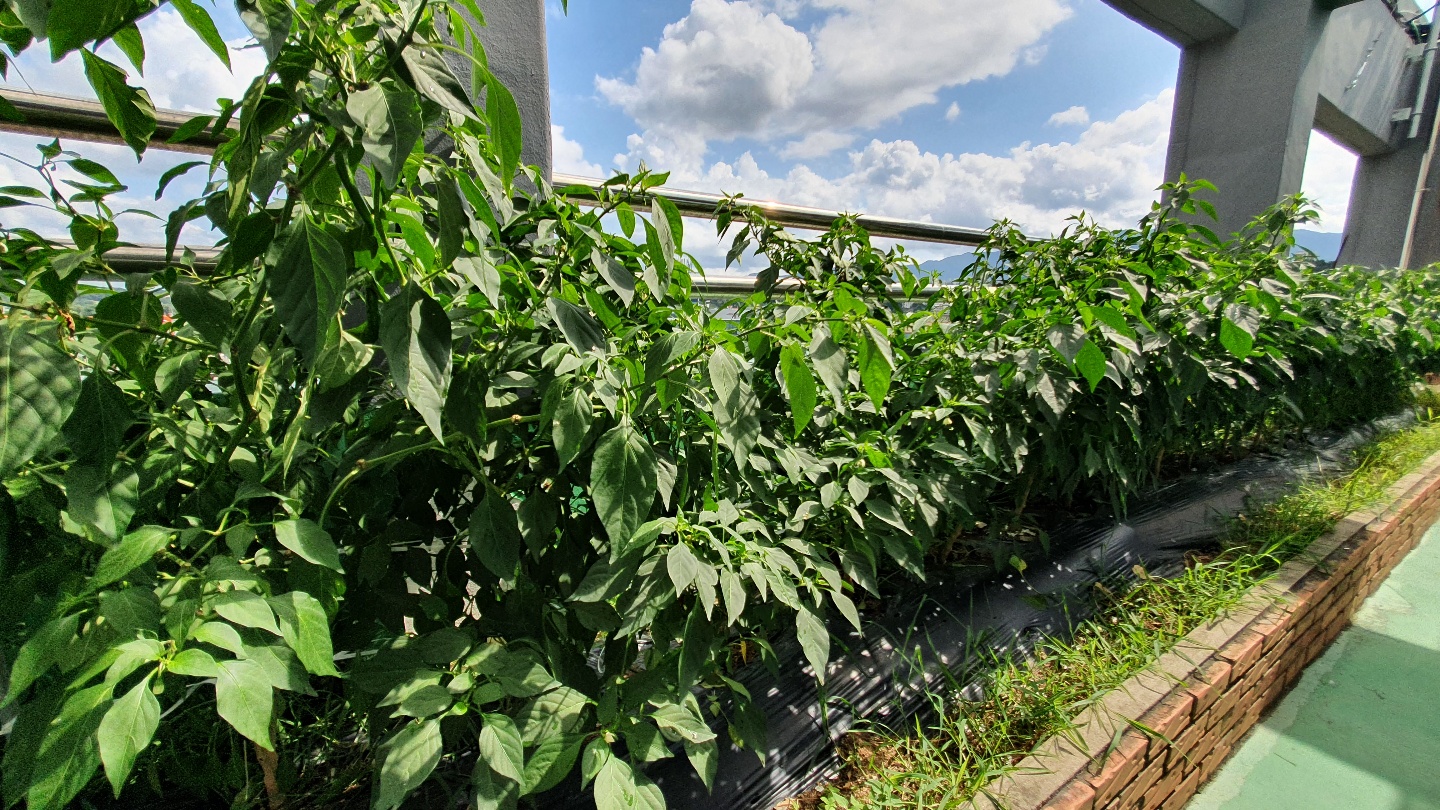 원주보금자리요양원 이미지 7