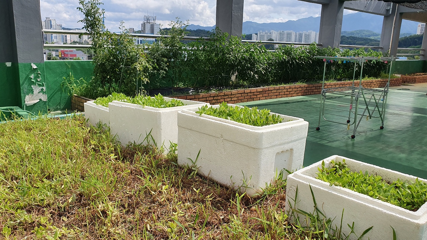 원주보금자리요양원 이미지 6