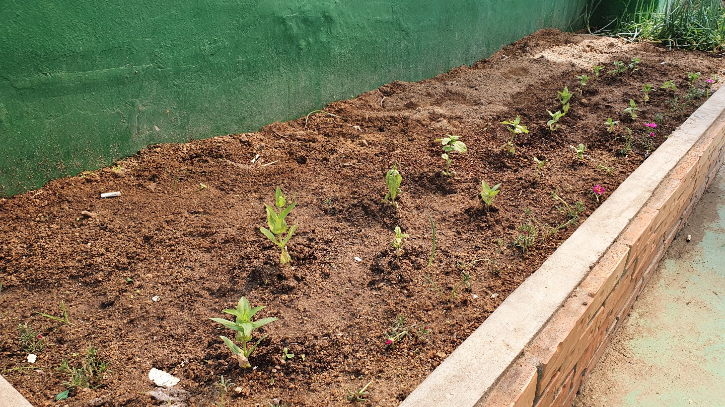 원주보금자리요양원 이미지 5