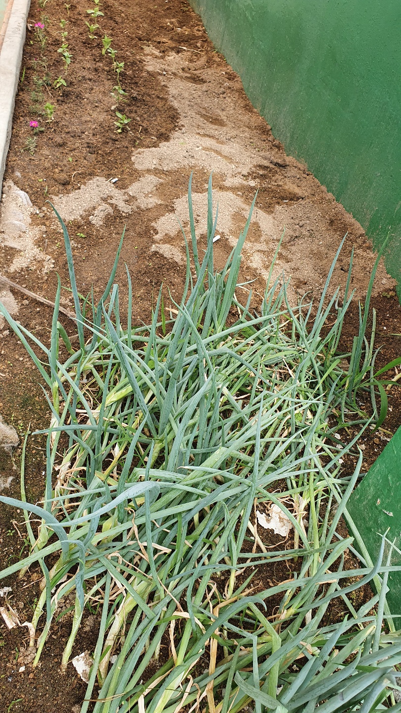 원주보금자리요양원 이미지 4