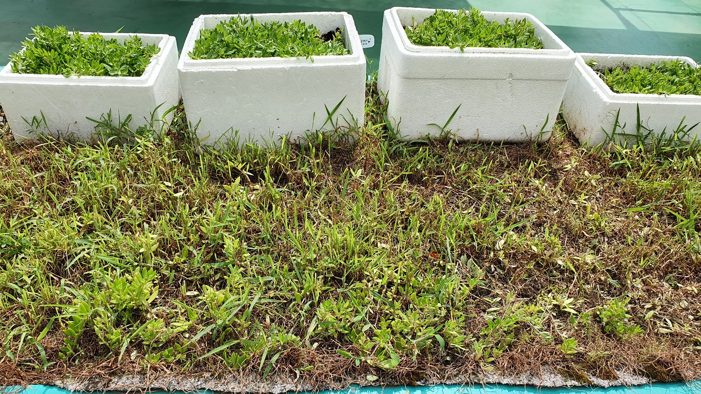 원주보금자리요양원 이미지 2