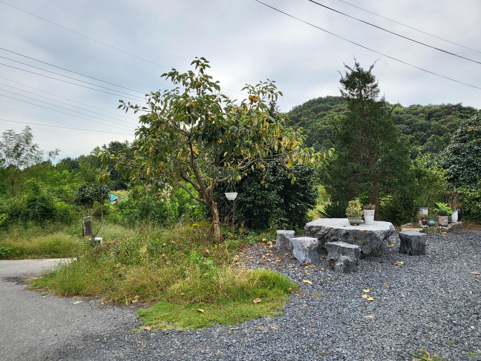 대명요양원 이미지 5