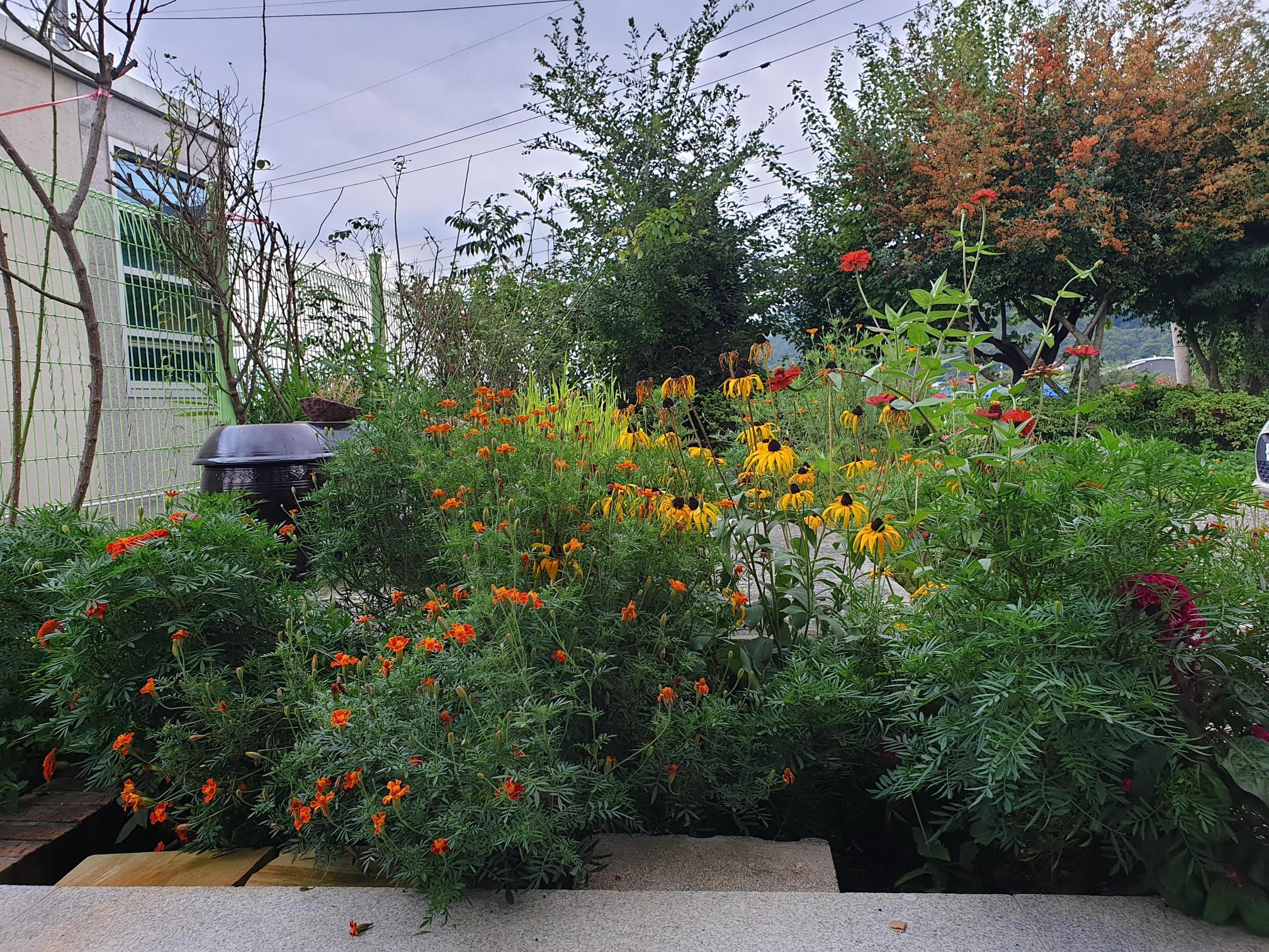 따뜻한집 이미지 2