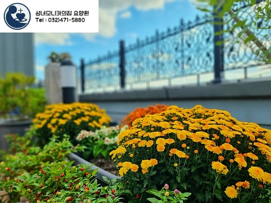 성녀모니카의집요양원 이미지 10