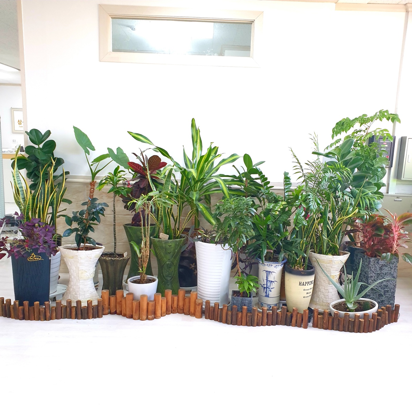 삼성요양원 이미지 14